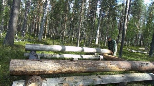 Сруб своими руками в чашу №1