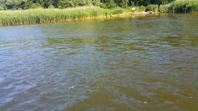 Риф Тритон 390F смотреть онлайн