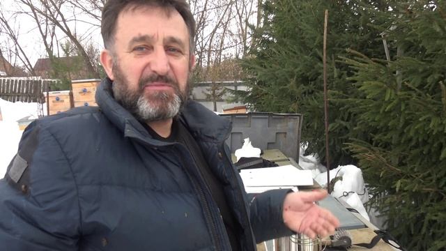 Медведи выходят из спячки начинается охота на мед смотреть онлайн