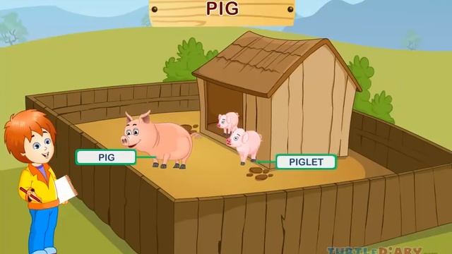 Amazing Farm Animals! *Animal Science for Kids* смотреть онлайн