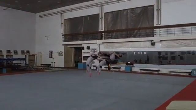 Рондат-фляк-темп-фляк-сальто. смотреть онлайн