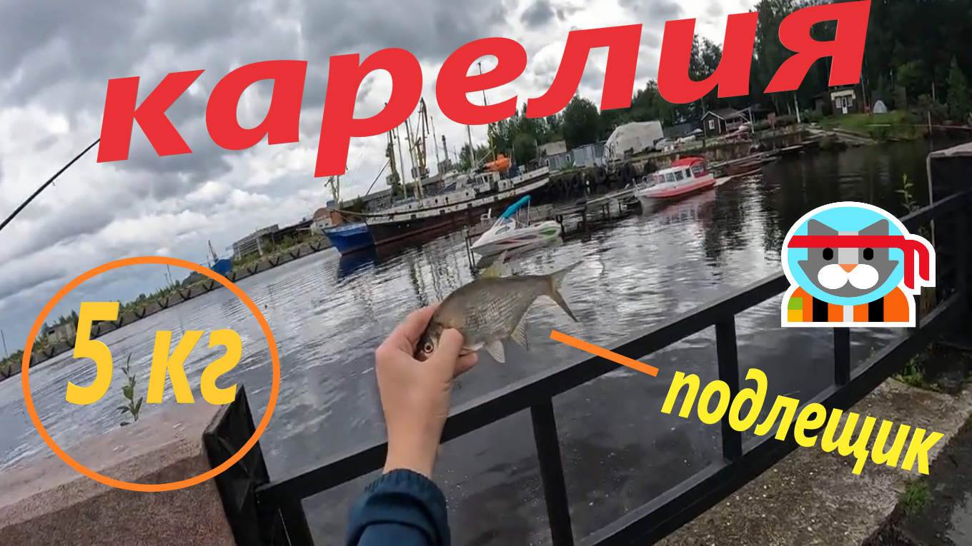 Рыбалка мечты! Рыбалка в Карелии на Онежском озере!!! Наловил карельского подлещика. смотреть онлайн