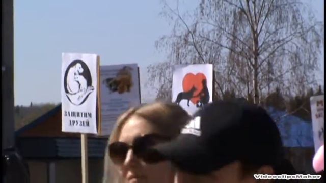 ЦЕНТР ПОМОЩИ ЖИВОТНЫМ, 1 мая 2016 г. Чусовой смотреть онлайн