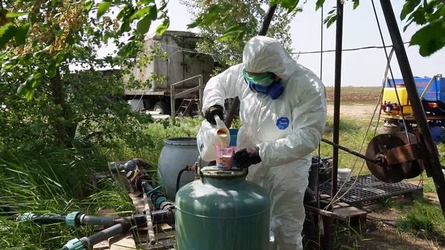 Здоровый арбуз на всех этапах развития. Часть 1