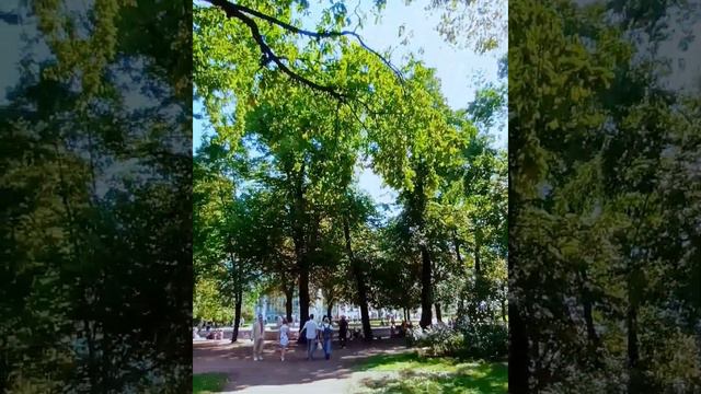 Стрелка Васильевского острова. смотреть онлайн