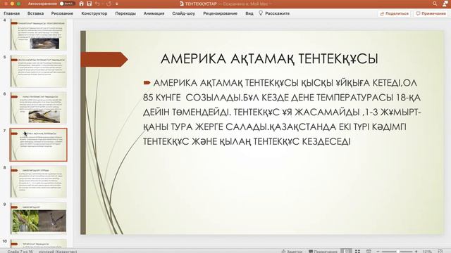 zoom 0 5 смотреть онлайн