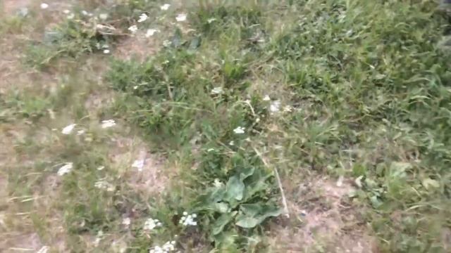 Продажа Mitsubishi RVR #1