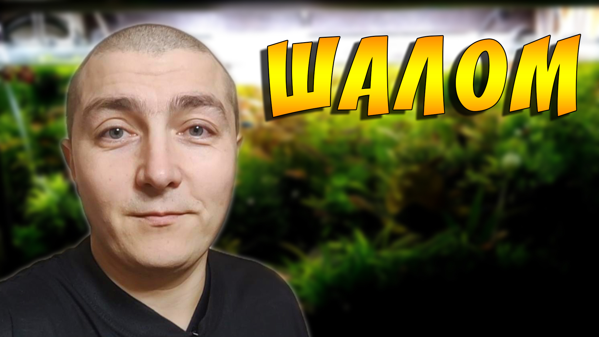 Для тех кто пишет мне в личку с просьбой помочь! смотреть онлайн