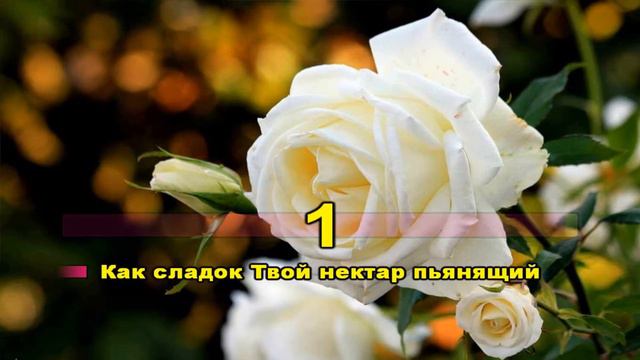 Посольство Божье "Аромат любви" (караоке минус) смотреть онлайн