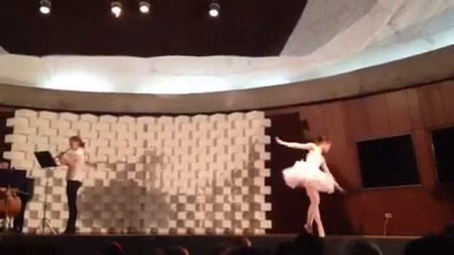 El Cisne - L. Bource смотреть онлайн