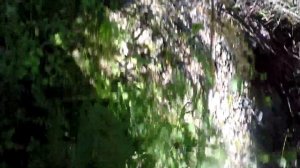 КАН из БЕРЕСТЫ для рыбалки ( начал делать новый кан , пчелы мед немного природы)