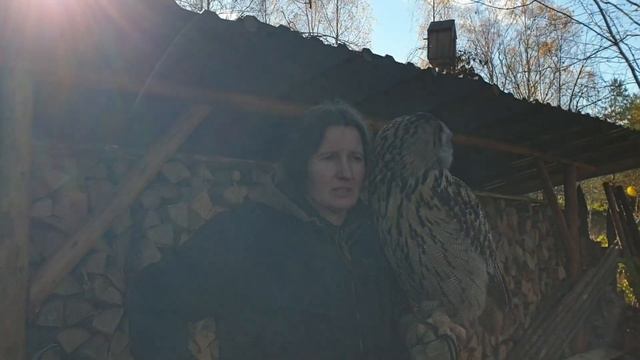 Фотосессия Ёлки и вечер в Избушке. смотреть онлайн