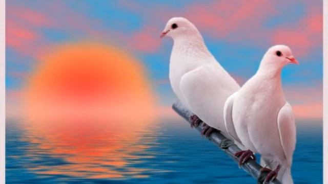 ..Мне Папа принёс Голубей., улетают Птицы,улетают.. смотреть онлайн