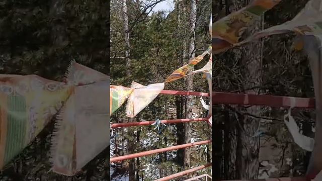 Лик Будды в Бурятии смотреть онлайн