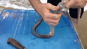 Снятие шкуры со змеи