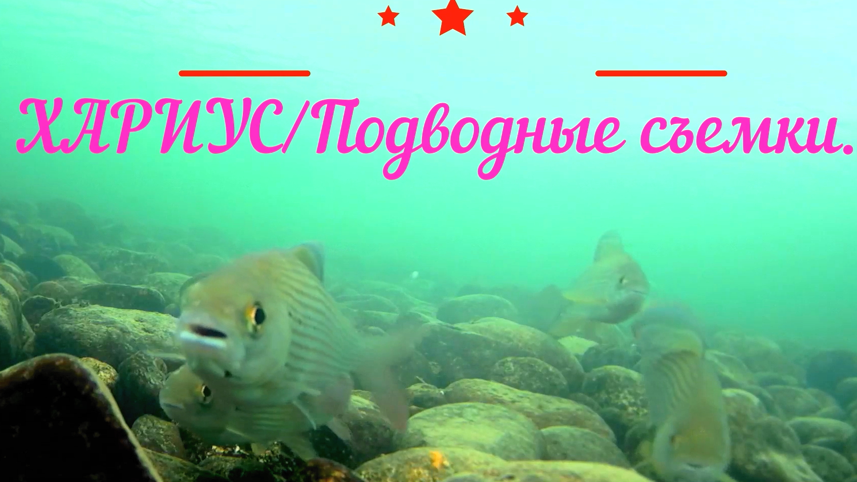 ХАРИУС,подводный МИР/Сибирская РЕКА.