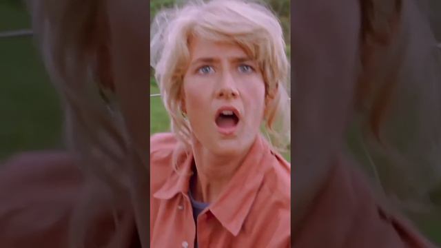 большой выбор различных объектов смотреть онлайн