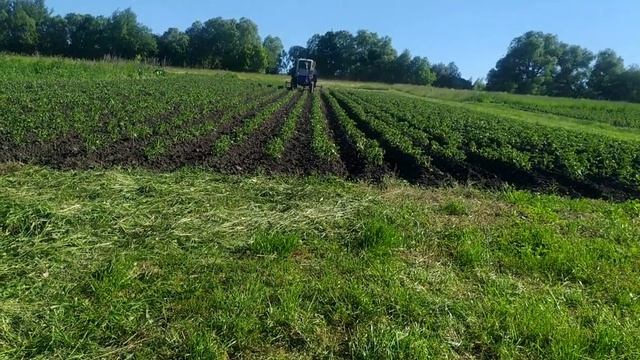 20 июня 2021 г.mp4 смотреть онлайн