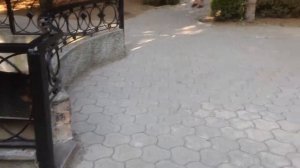 Гурзуфский санаторий. Обзор корпусов "Альянс" и "Гагаринский"