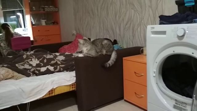 СУШИЛКА БЕЛЬЯ ИЗВЛЕКАЕТ ВОЛОСЫ И ПЫЛЬ ИЗ ОДЕЖДЫ