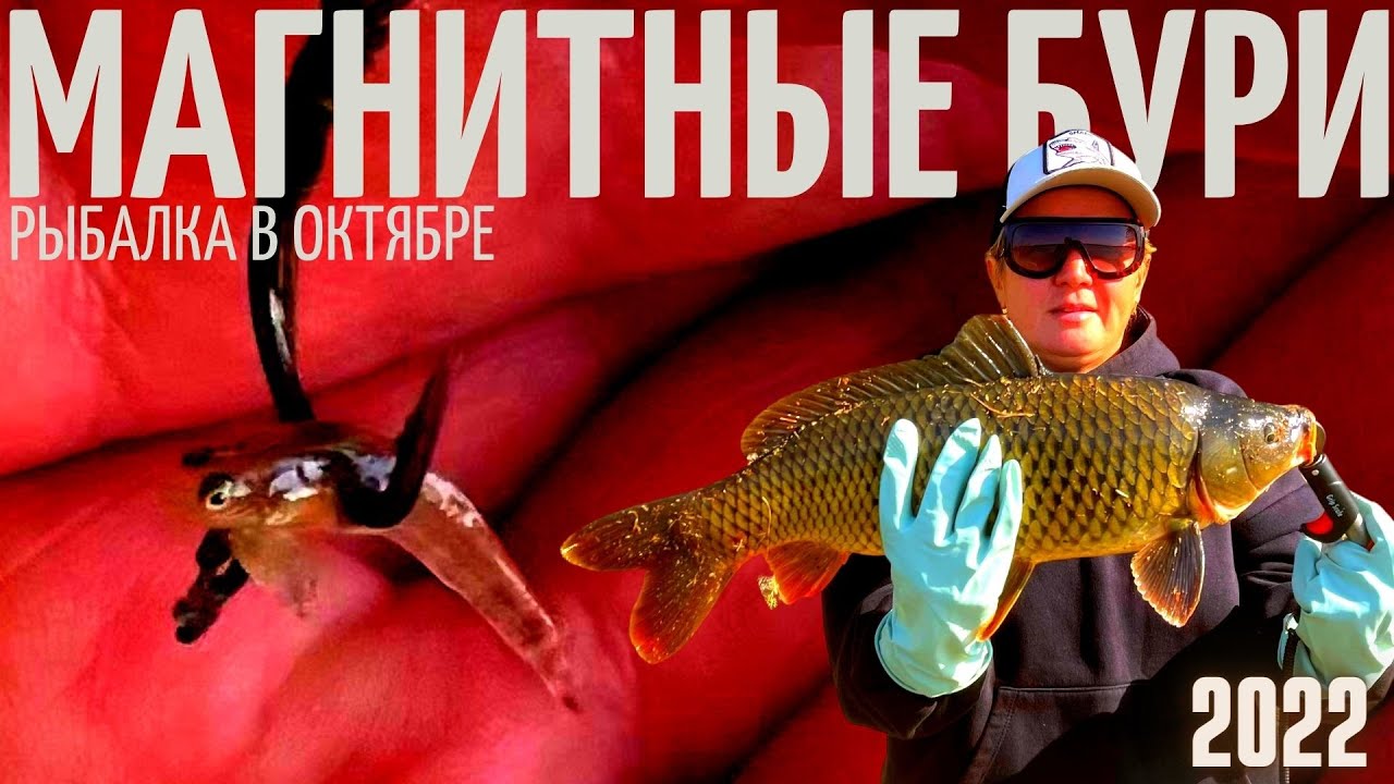 РЫБАЛКА В МАГНИТНУЮ БУРЮ с индексом 6. Удалось соблазнить САЗАНА.Толстолобик молчал. Actor GPS Camo. смотреть онлайн