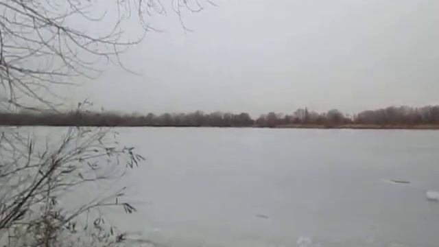 24.02.21. Отказался от всяких сладостей, печенья и т. д. Дневник успеха. Евгений Денчик. смотреть онлайн