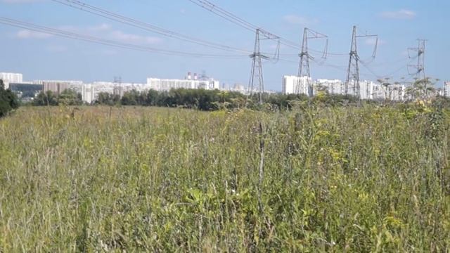 "У Лукоморья дуб зелёный..." Часть 3. Садки-Остафьево смотреть онлайн