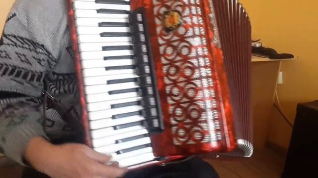 Royal Standard (Weltmeister) Silvana 96 Bass LMMH Accordion Fisarmonica Red AC352(1)