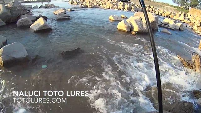 Toto Lures смотреть онлайн