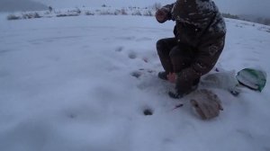 Ловля ГОЛОВЛЯ,ЕЛЬЦА,ПЛОТВЫ зимой!!! Река Белая