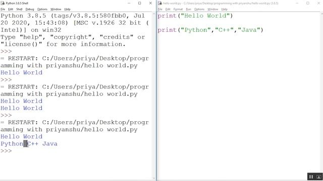 Lecture 2 - How to use Print Function | Hello World in Python | Programming with Priyanshu English смотреть онлайн