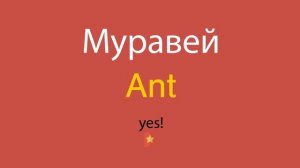 Муравей по-английски