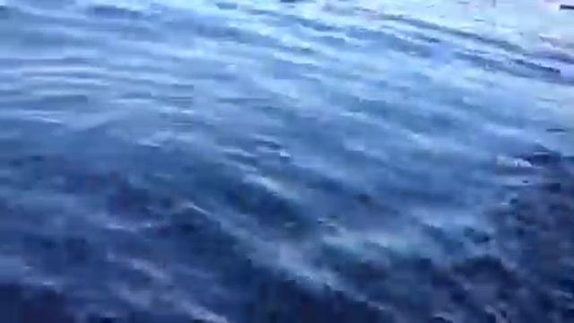 Черное море в сентябре смотреть онлайн
