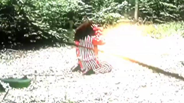 ПАРУ ВОДНИКОВ НА ПОДОКОННИКЕ| @max.vashchenko @vashchenko_live смотреть онлайн