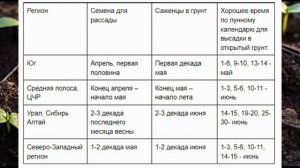 Когда сеять огурцы на рассаду в 2023 году по лунному календарю. Посадка рассады огурцов по регионам