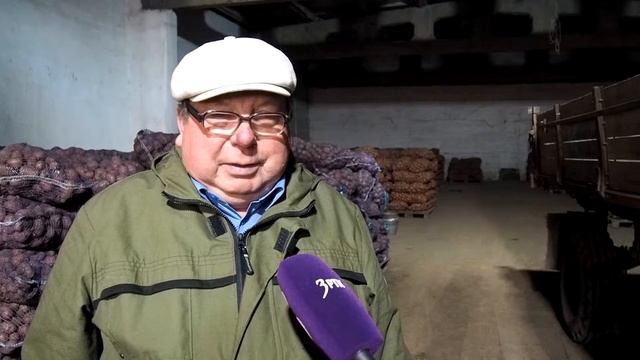 Засучив рукава смотреть онлайн