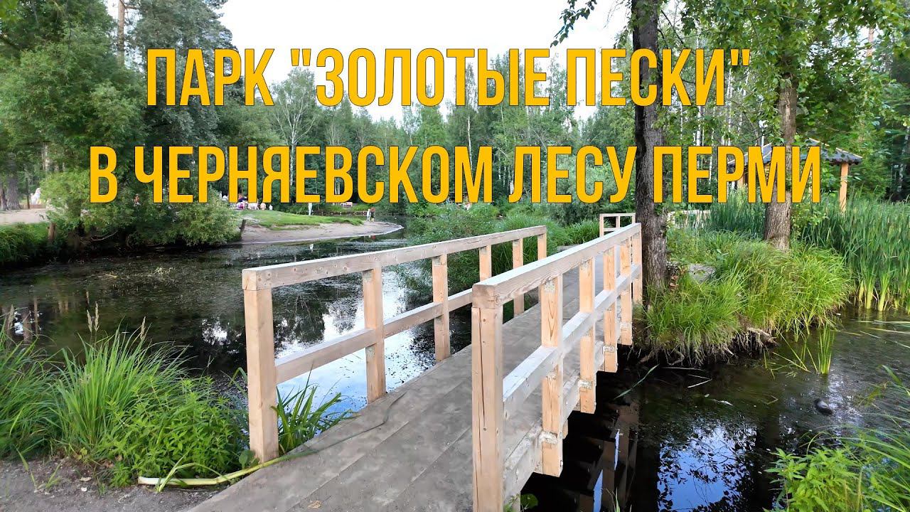 Парк Золотые пески в Черняевском лесу Перми 17 07 2024 год смотреть онлайн
