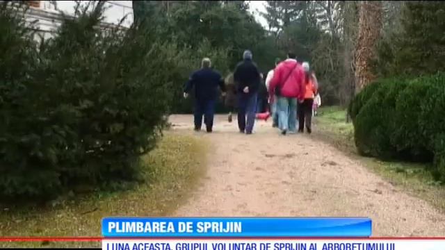 STIRE PARC смотреть онлайн