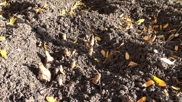 Епизод 10 смотреть онлайн