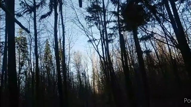 ЛОВЛЯ КЛЕСТА, МЫ ИХ НЕ ОЖИДАЛИ!!! смотреть онлайн