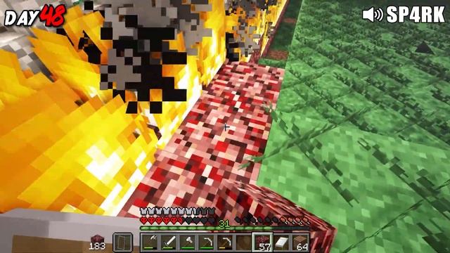 We Survived 100 Days in a Zombie Apocalypse in Minecraft Hardcore (Hindi) смотреть онлайн