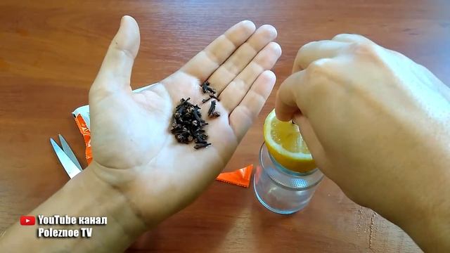 Домовладелец Профи