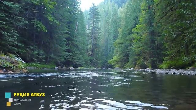 Бахт, Омад, Барака, Бойлик Келтирувчи Рукия! Энг Кучли Руқия 10 дақиқа! @ATVUZ