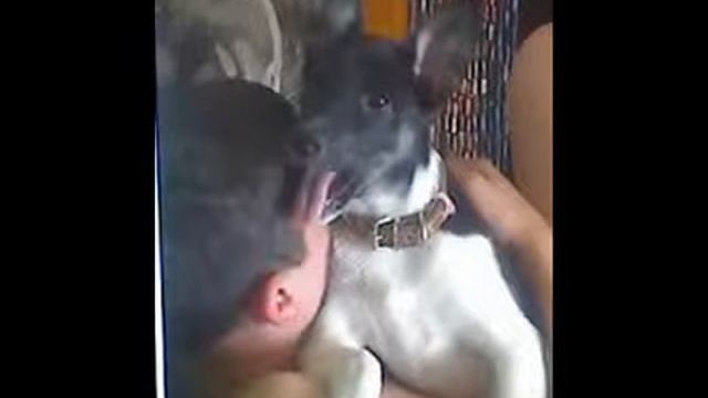 МОИ.wmv.mp4 смотреть онлайн