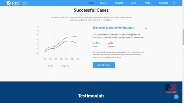 Rise - Marketing Agency Multipage Website Template TMT Royston Ivan смотреть онлайн