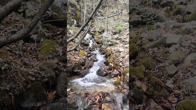 Высокогорные родники Кавказа смотреть онлайн