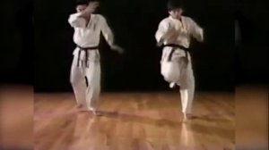 Ашихара Каратэ базовые основы