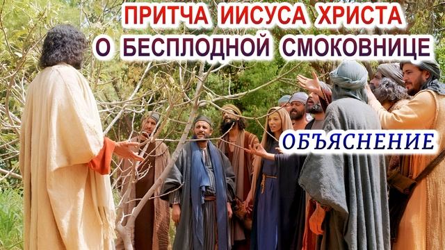 Притча Иисуса Христа о бесплодной смоковнице. Объяснение смотреть онлайн