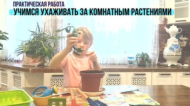 ОКРУЖАЮЩИЙ МИР 2 класс ПРОЕКТ уход за домашними растениями смотреть онлайн