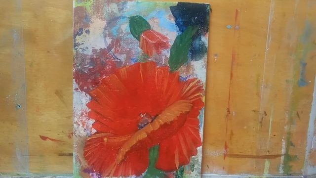 ? Как нарисовать цветок мака маслом. Мак с бутоном смотреть онлайн
